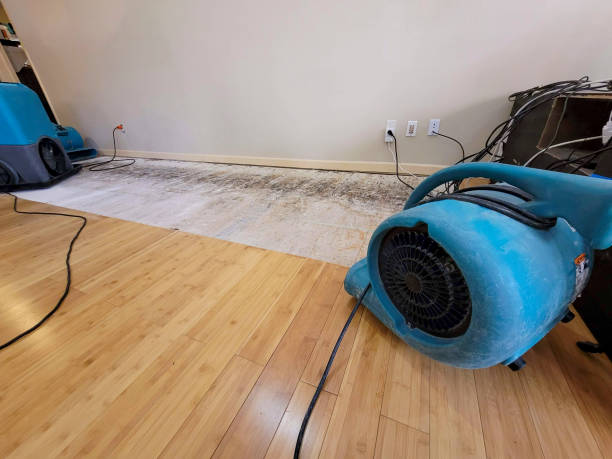 Professional Structural Drying technician working in Cedar Grove, WI
